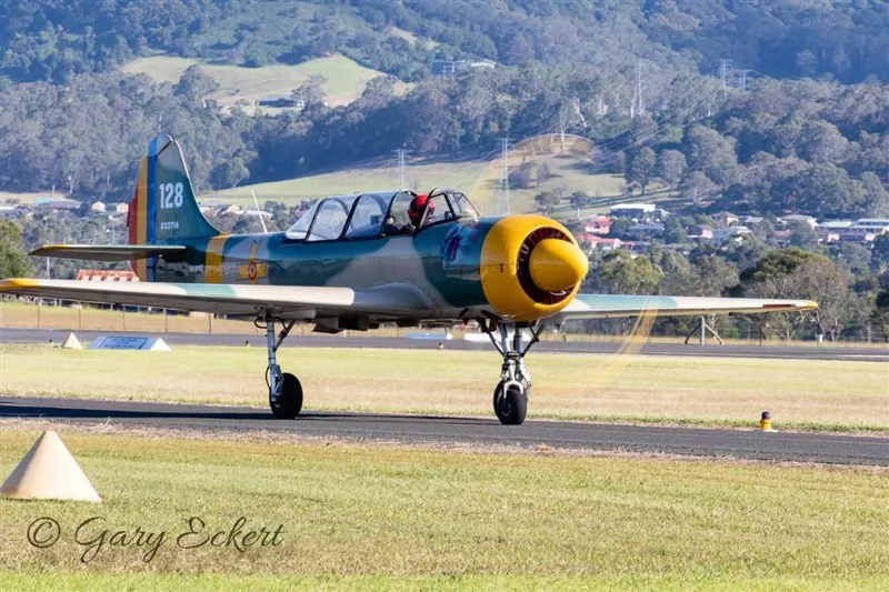 1983 Yakovlev Yak-52 for sale