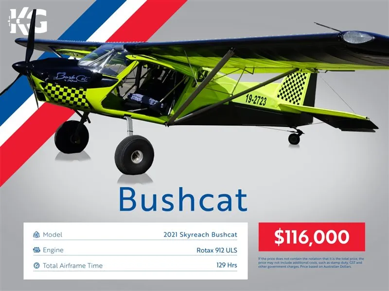 2021 Skyreach Bushcat Tailwheel for sale