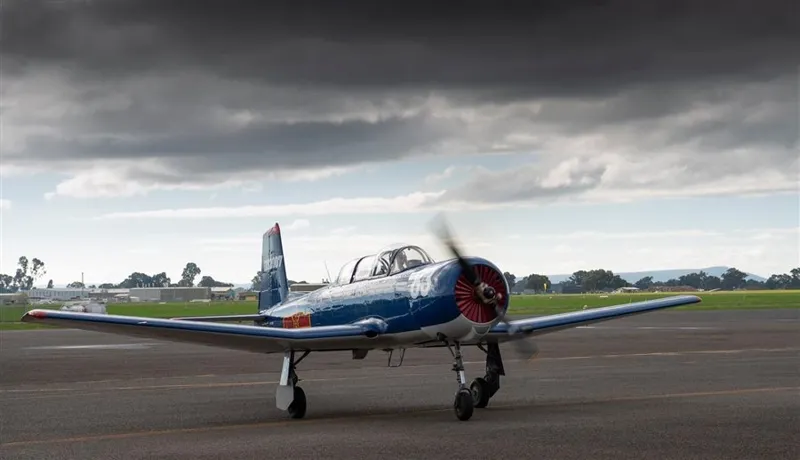 1991 Nanchang CJ-6 for sale