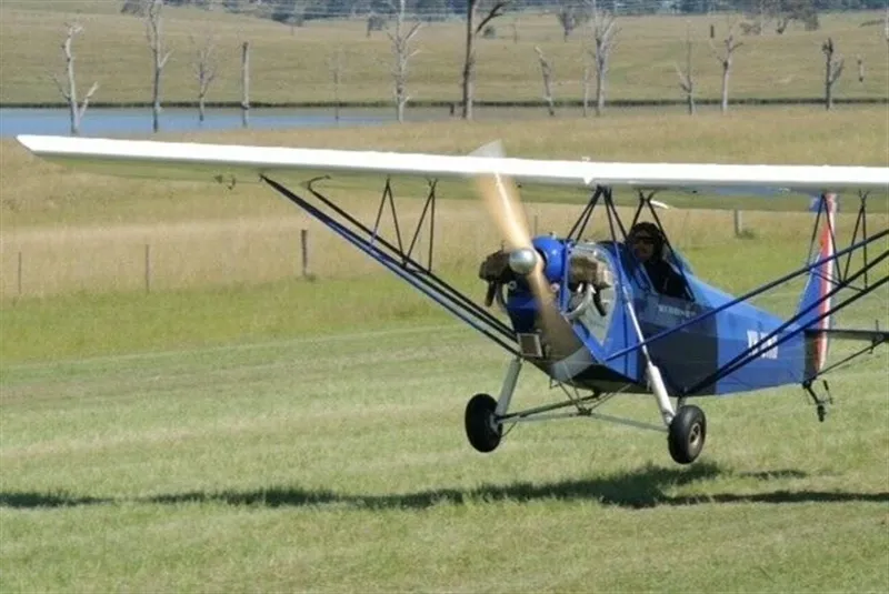 1995 Clancy Brothers Skybaby for sale