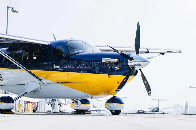 2025 Daher Kodiak 900 for sale