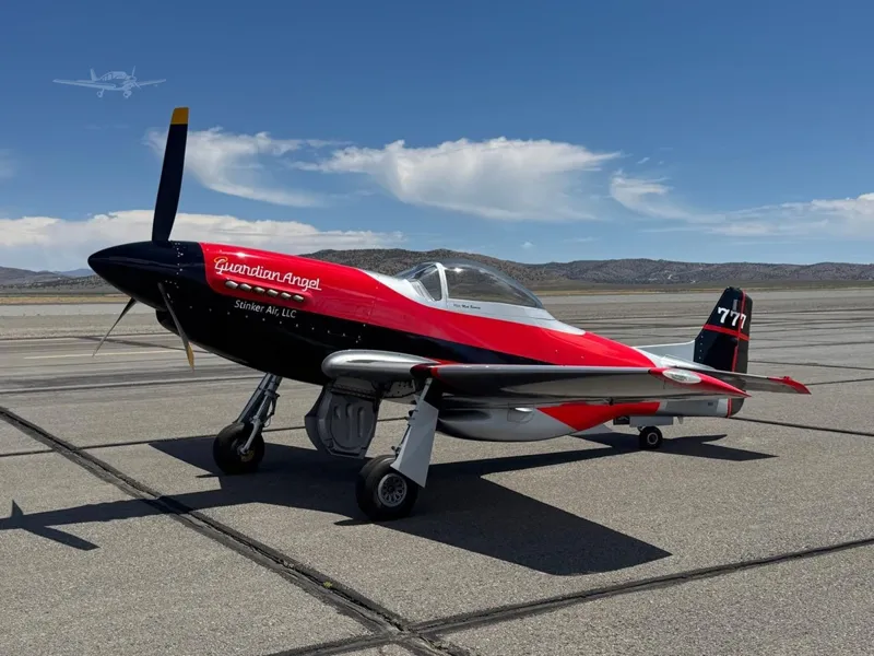 2007 Thunder Mustang Thunder Mustang for sale