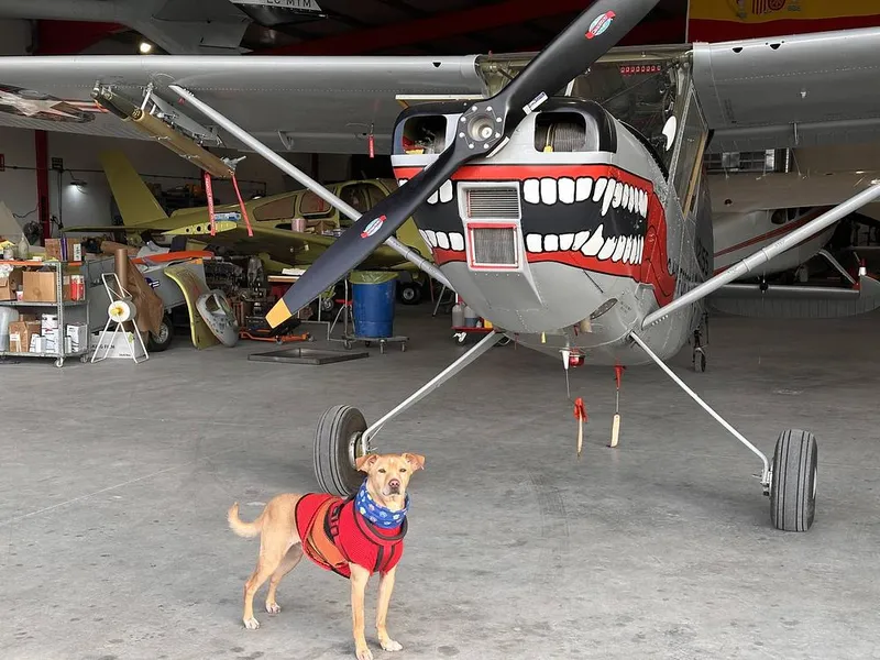 1961 CESSNA 305/L-19 Bird Dog (sold)