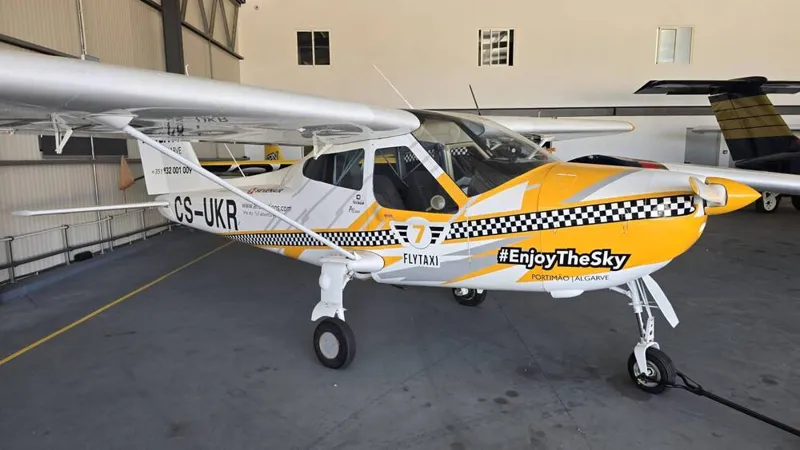 2001 Tecnam P92-2000 RG Echo