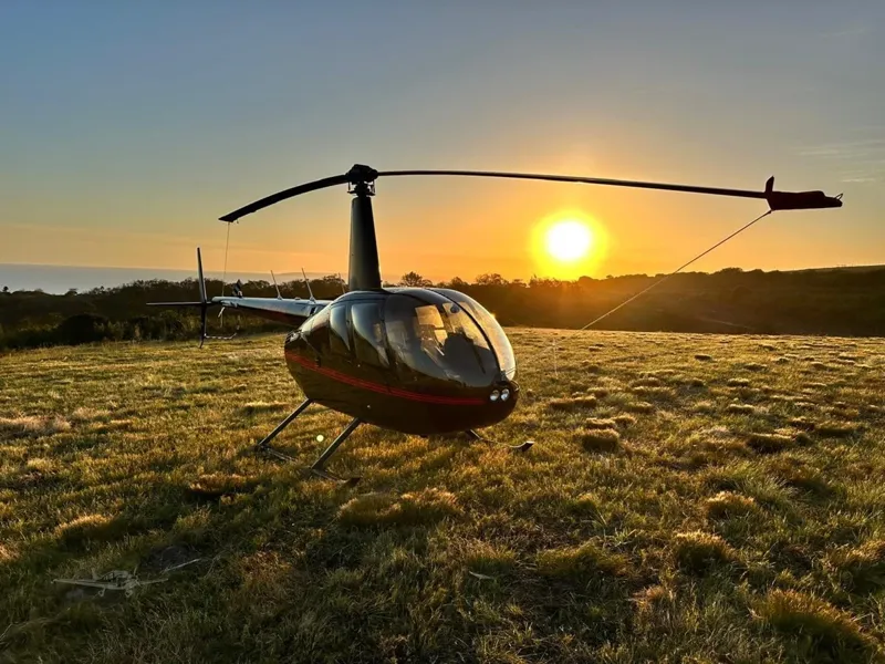 2017 Robinson R44 Raven II for sale