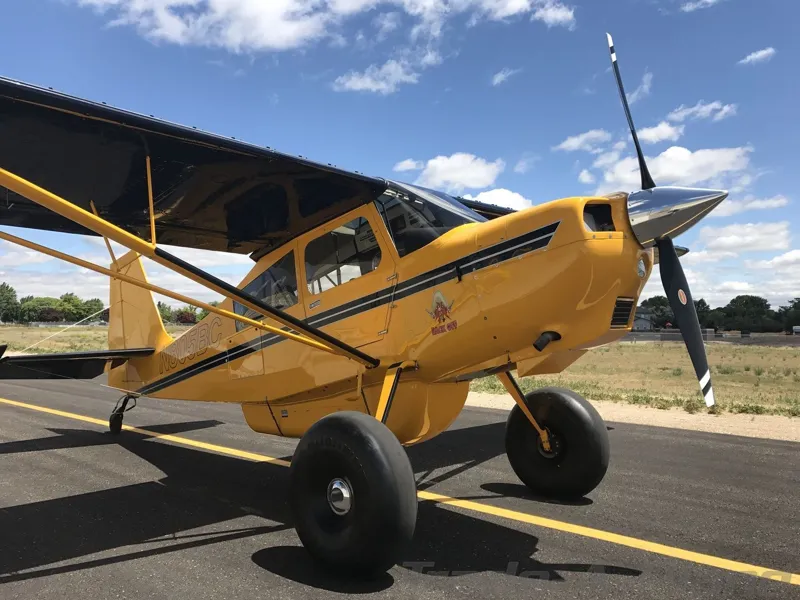 AMERICAN CHAMPION SCOUT for sale