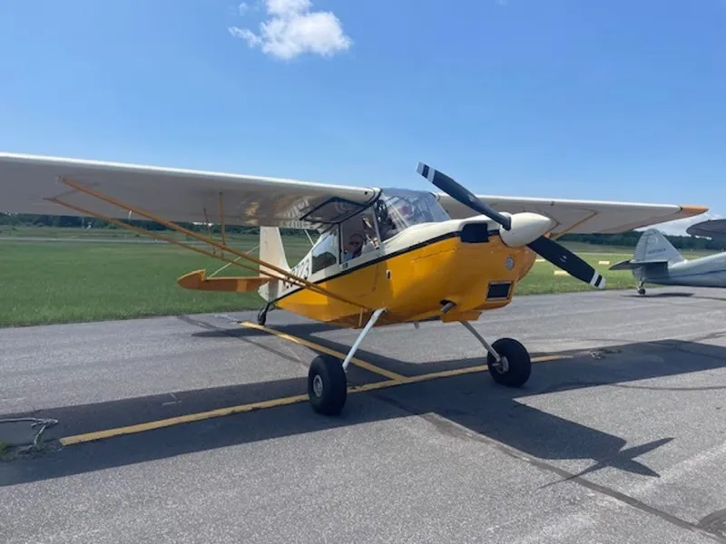 1975 American Champion Scout for sale