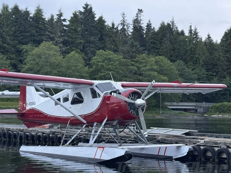 1956 DEHAVILLAND DHC-2 for sale