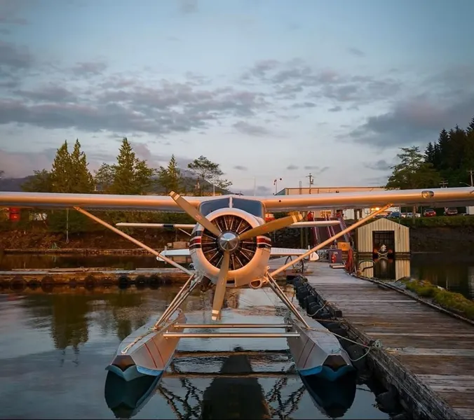 1951 De Havilland DHC-2 MK I for sale