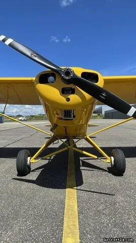 1951 Piper Super Cub for sale