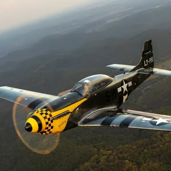 Scalewings Mustang