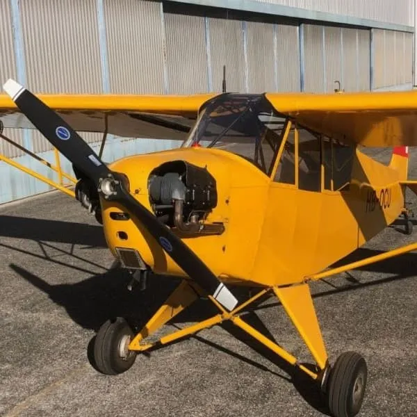 1944 Piper Super Cub for sale