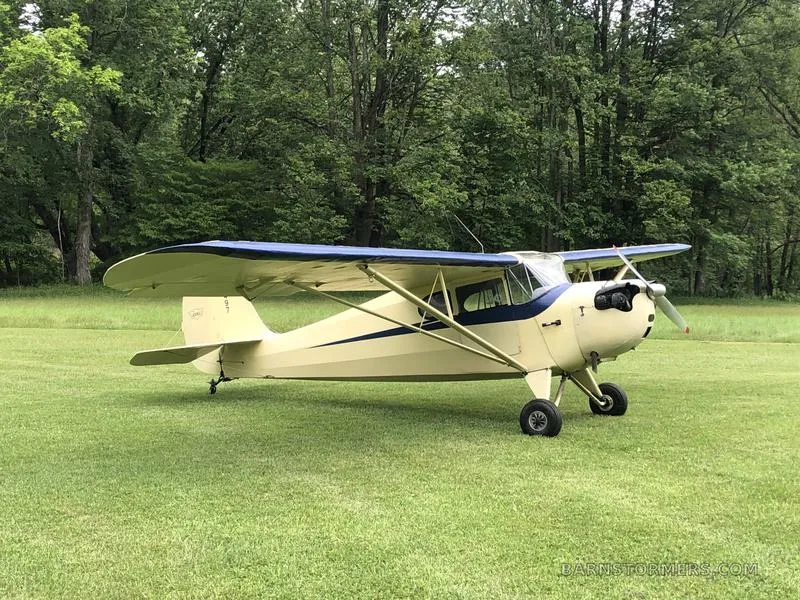 Classic TAILDRAGGERS for sale